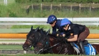 ショウヘイ、札幌記念1週前追い切り速報/栗東トレセンニュース