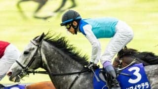 【札幌記念想定】アドマイヤテラ、グランディアなど15頭