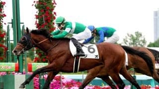 【注目馬動向】１日の札幌・２歳未勝利を勝ったジオは芙蓉Ｓ、または秋の東京開催を視野