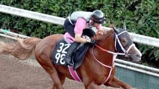 【レパードＳ】ショウナンバンライがダート界の勢力図を塗り替える　松下調教師「どれだけやれるか楽しみです」