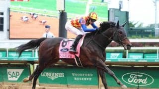 【注目馬動向】テーオーエルビスはコリアスプリント辞退→ＢＣスプリント直行　高柳大調教師「またひと回り大きくなった感じ」