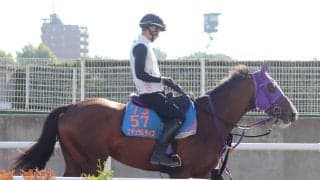 【エルムＳ】復活を目指す２冠馬ナチュラルライズは併せ馬で先着も…　横山武史騎手は慎重「きつい戦いになる」