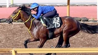 【ＣＢＣ賞】タマモイカロスが初コンビの西塚洸二騎手を背に力強い伸び　藤岡健調教師「時計も出ていて動きもいい」