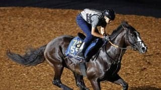 【ジャックルマロワ賞】シュトラウスが国内最終追い切りで好気配　武井調教師「すごく良かった」フランス遠征へ手応え