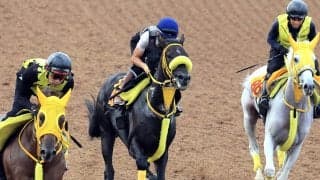【レパードＳ】ドンエレクトスは３頭併せでスムーズに反応　荻野極騎手が好感触「動きが軽く追走も楽」