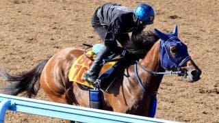 【中京記念・１週前】久々のマイル戦に挑むカネラフィーナは単走で好タイム　石川裕紀人騎手「いい感じじゃないかと」