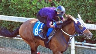 【中京記念・１週前】超良血馬スイープアワーズが軽やかな脚どり　宮地調教師「引き続き重賞でもいい勝負を期待」