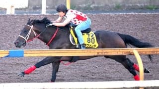 【中京記念・１週前】実績上位のラヴァンダは重賞２勝目へ　コースでしっかり　中村調教師「体調は問題ないです」