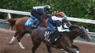 【レパードＳ】ＵＡＥダービー３着パイロマンサーが国内復帰戦へ手応え　吉村調教師「先々はまた海外に行きたい」