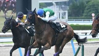 【CBC賞展望】夏の短距離戦は牝馬に注目、前走重賞組のジェニファーが中心