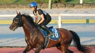 【ＣＢＣ賞】名門牝系の血が覚醒だ！ディアナザール上昇カーブ　斉藤崇調教師「本当にいい状態」