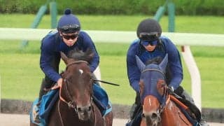 【エルムＳ】ウェイワードアクトが初タイトルへ好仕上がり　舟山瑠泉騎手「すごく良かった」
