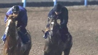 【ジャックルマロワ賞】春のマイル王シックスペンスが国内最終追い　田中博康調教師「躍動感があっていい動き」