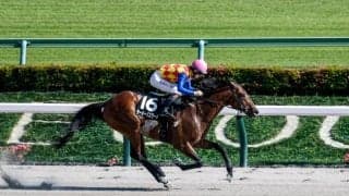 【エルムS出走馬・騎手確定】テーオーパスワード＆松山弘平騎手、ルクソールカフェ＆岩田望来騎手など11頭