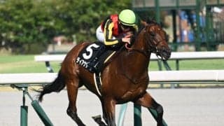 【CBC賞出走馬・騎手確定】ディアナザール＆川田将雅騎手、レイピア＆横山武史騎手など18頭