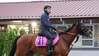 【注目馬動向】スイートピーＳ勝ち馬のカナルサンマルタンは８月９日の佐渡Ｓに出走予定も外傷のため回避
