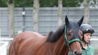 【注目馬動向】クイーンＳで初タイトルを獲得したココナッツブラウンはエリザベス女王杯かマイルＣＳを視野