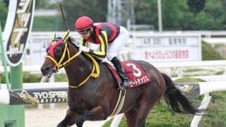 ダート重賞を２勝したエートラックスがＪＲＡの競走馬登録を抹消　今後は地方競馬へ