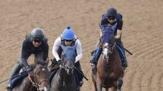 【札幌記念・１週前】田中博康調教師「迫力や荒々しさが…」２年１１か月ぶりの勝利を狙うローシャムパーク