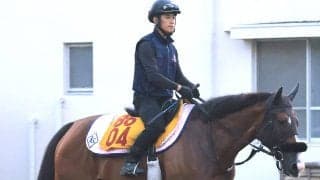 【注目馬動向】アイビスＳＤ６着エコロレジーナは１０月のルミエールＡＤへ　菊沢調教師「間に挟むレースもないので」