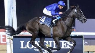 レベルスロマンスの全弟が衝撃の２１馬身差デビューＶ　ドイル騎手「きっと素晴らしいキャリアが待っている」