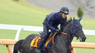【注目馬動向】府中牝馬Ｓ１４着のヴァルキリーバースは京成杯ＡＨで巻き返しへ　サンデーサラブレッドクラブが発表