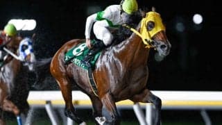 【船橋・習志野きらっとスプリント結果】11番人気メンコイボクチャンが鋭く差し切る