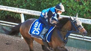 【ＣＢＣ賞・データ埋蔵金】好走条件そろう前走下級条件１着＆距離短縮＆ロードカナロア産駒で浮上する５歳馬