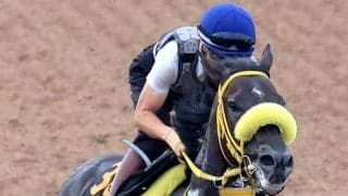 【レパードＳ】キャリアハイ更新ペースの５３勝　荻野極騎手がドンエレクトスを重賞初Ｖに導く「いい対処ができるように備えたい」
