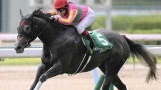 今村聖奈騎手が数々の偉業達成 22年のCBC賞を振り返る