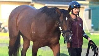 【ＣＢＣ賞・枠順確定】連覇がかかるインビンシブルパパは６枠１２番　２度目の重賞挑戦のディアナザールは４枠７番に決定
