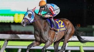 【エルムS枠順確定】ナチュラルライズは4枠4番、ルクソールカフェは3枠3番