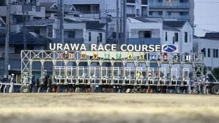 浦和競馬が熊本地震被災地支援…8月7日から場内に募金箱設置
