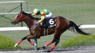 【北海道スプリントカップ】エコロレーヴなどJRA馬は4頭
