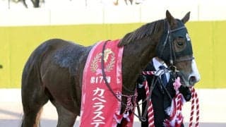 ２４年のカペラＳを制したガビーズシスターがＪＲＡ競走馬登録を抹消　今後は大井競馬に移籍予定