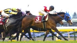 ０８年の東海Ｓで衝撃の単勝万馬券Ｖ　３連単５１３万円超を演出した記憶に残る二刀流牝馬　ヤマトマリオンが２３歳で死す　