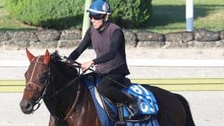 【三河Ｓ・金曜気配】昇級２戦目ロードヴォイジャーは暑さが最大の敵？　坂口調教師「走りのバランスが良くなりました」