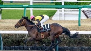 【エルムS予想】小回りのダート1700mは鬼門!? 実績上位もコース適性に疑問が残る人気馬