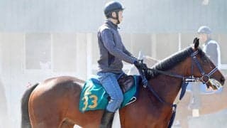 【ＰＯＧ】藤田晋オーナーの１・９億円フライトライン産駒オールシティキングは秋の中山デビューを見据える