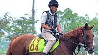 【ＰＯＧ】新種牡馬ストラクター産駒のジャストピーチーは国枝栄厩務員が担当で８・２２札幌デビューへ