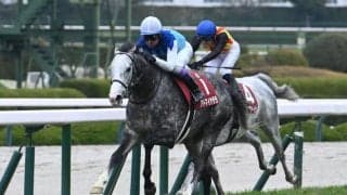【札幌記念想定馬・騎手】アドマイヤテラ、ゼンダンハヤブサなど16頭