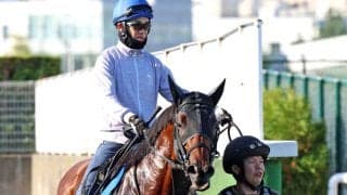 【エルムＳ・馬トク最終ジャッジ】勢いある実績馬テーオーパスワードの気になるポイントはやはり…　