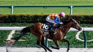 【今日の注目ポイント】エルムSでテーオーパスワードが重賞初制覇を狙う