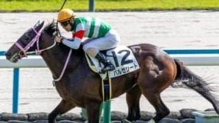 チャーチルダウンズC3着のバルセシート 自己条件で確勝期す
