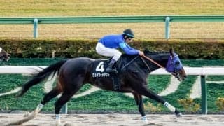 【エルムS予想】北海道シリーズ唯一のダート中距離重賞 立ち回り問われる札幌1700m