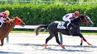 【新潟２Ｒ・２歳新馬】「余裕を持って運べました」荻野極騎手も絶賛　ジャスパートレノが初陣で見事な逃走Ｖ