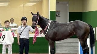【中京１Ｒ・２歳未勝利】単勝１・４倍のジーティーキャリー鮮やか逃げ切り　西村淳也騎手「自分のやるべき事をわかっている」