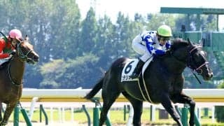 【新潟３Ｒ・２歳新馬】３番人気コラリオンがメンバー最速の末脚でＶ　田辺裕信騎手「１番人気になるかと思っていた」