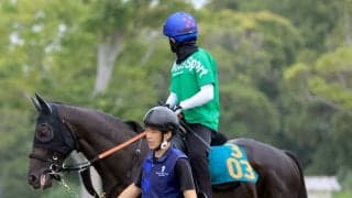 「一発は難しかったか…」話題の２・８億円馬アトミックリーチ　新潟３Ｒの初陣は馬券圏外の４着に沈む