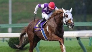 【盛岡・クラスターC枠順】岩手のお盆開催飾る短距離重賞 連覇狙うサンライズアムールは3枠3番